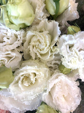 Load image into Gallery viewer, Long Stem Lisianthus
