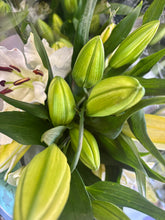 Load image into Gallery viewer, Oriental Lilies
